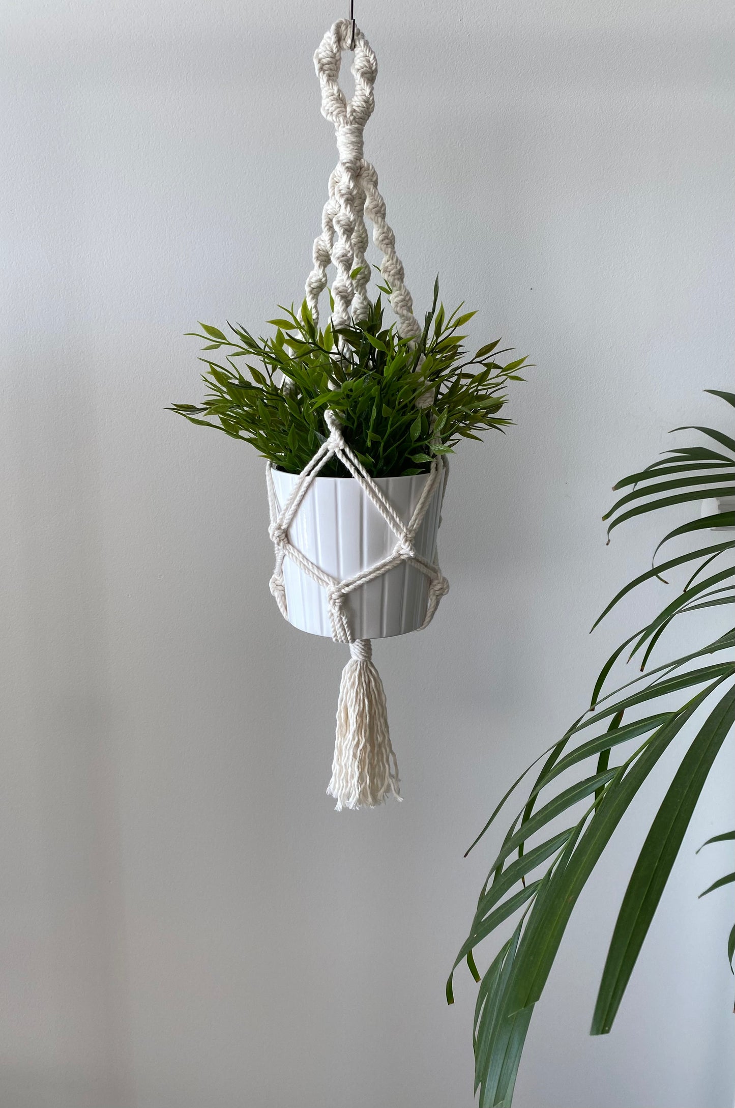 Suspension de plante - Mini torsadé