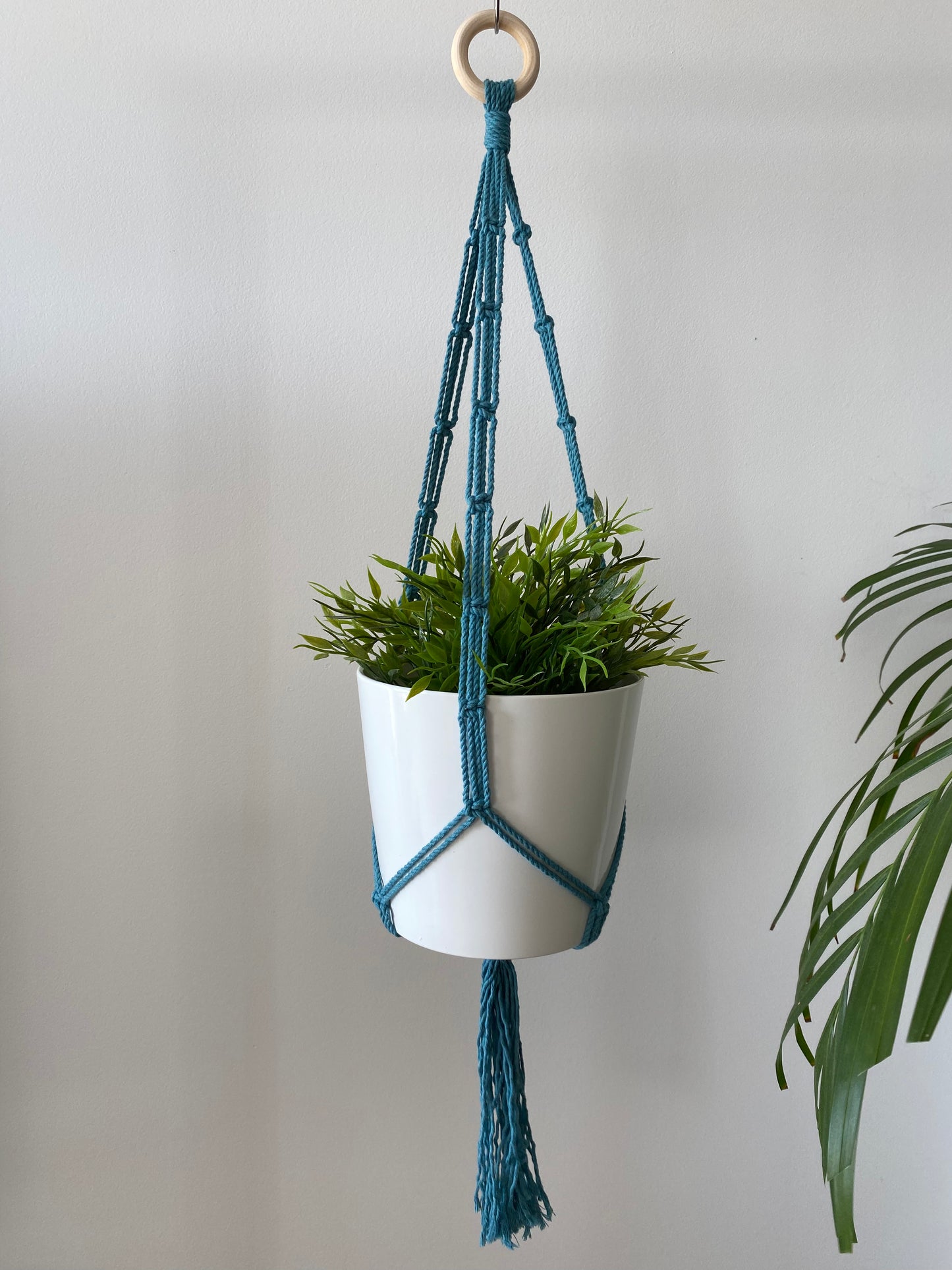 Suspension de plante - Anneau Triple Plat Espacé