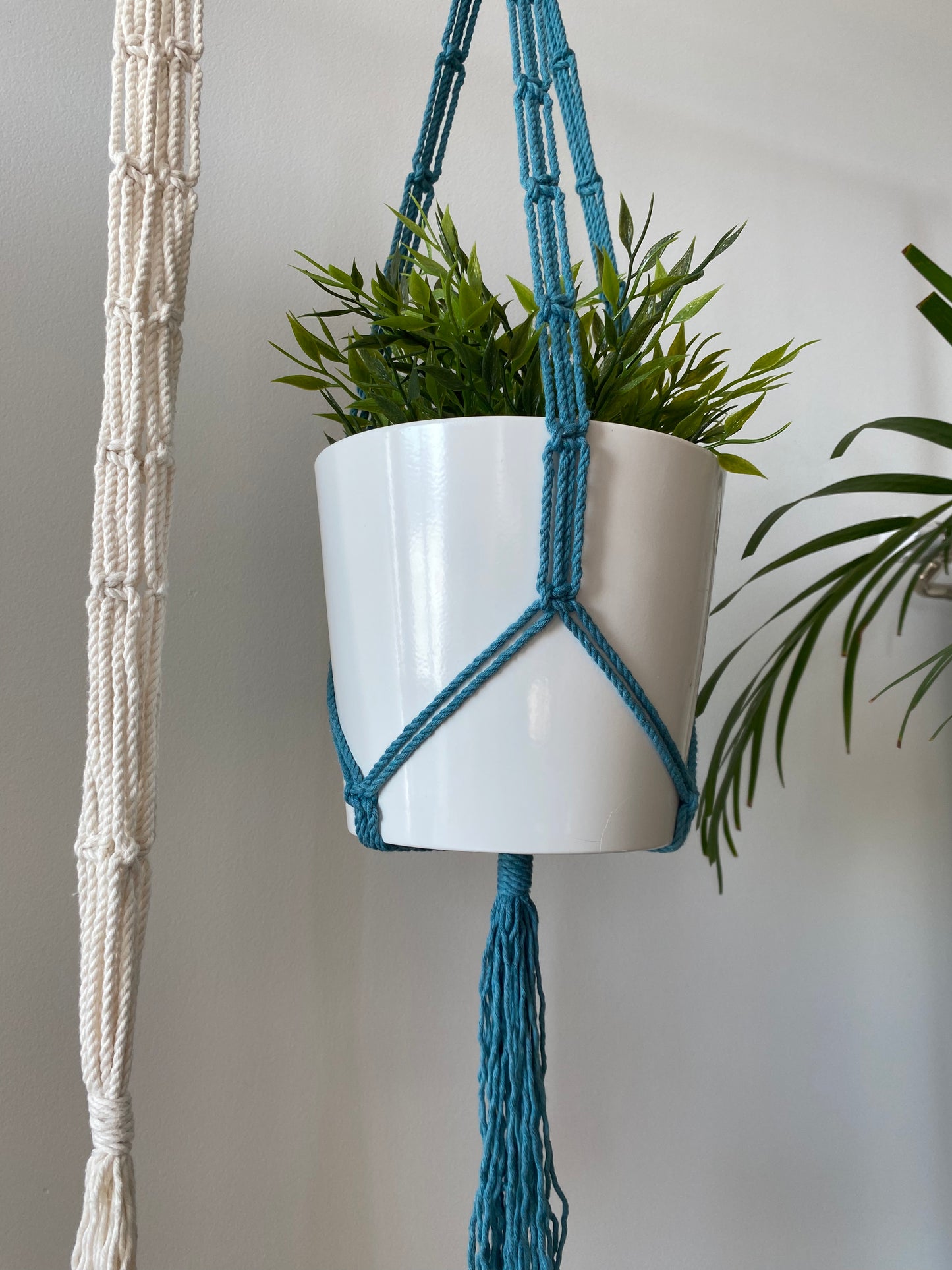 Suspension de plante - Anneau Triple Plat Espacé