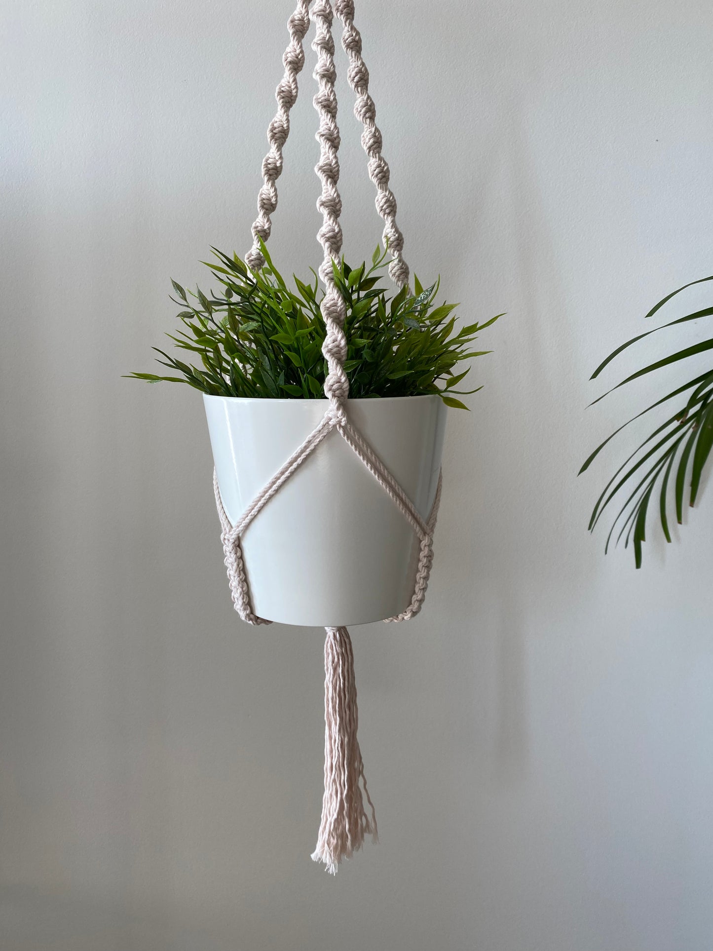 Suspension de plante - Anneau Triple Torsadée