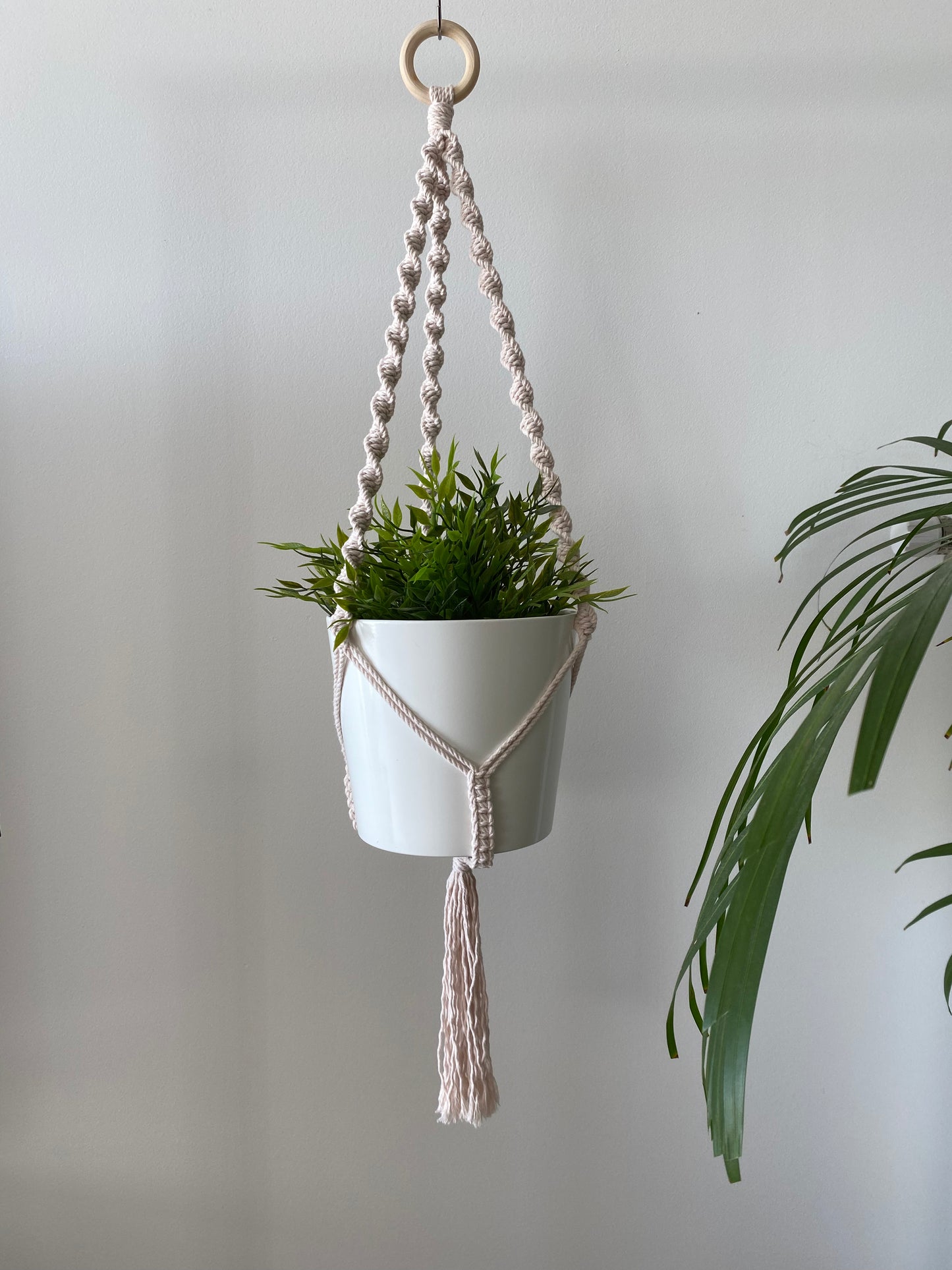 Suspension de plante - Anneau Triple Torsadée