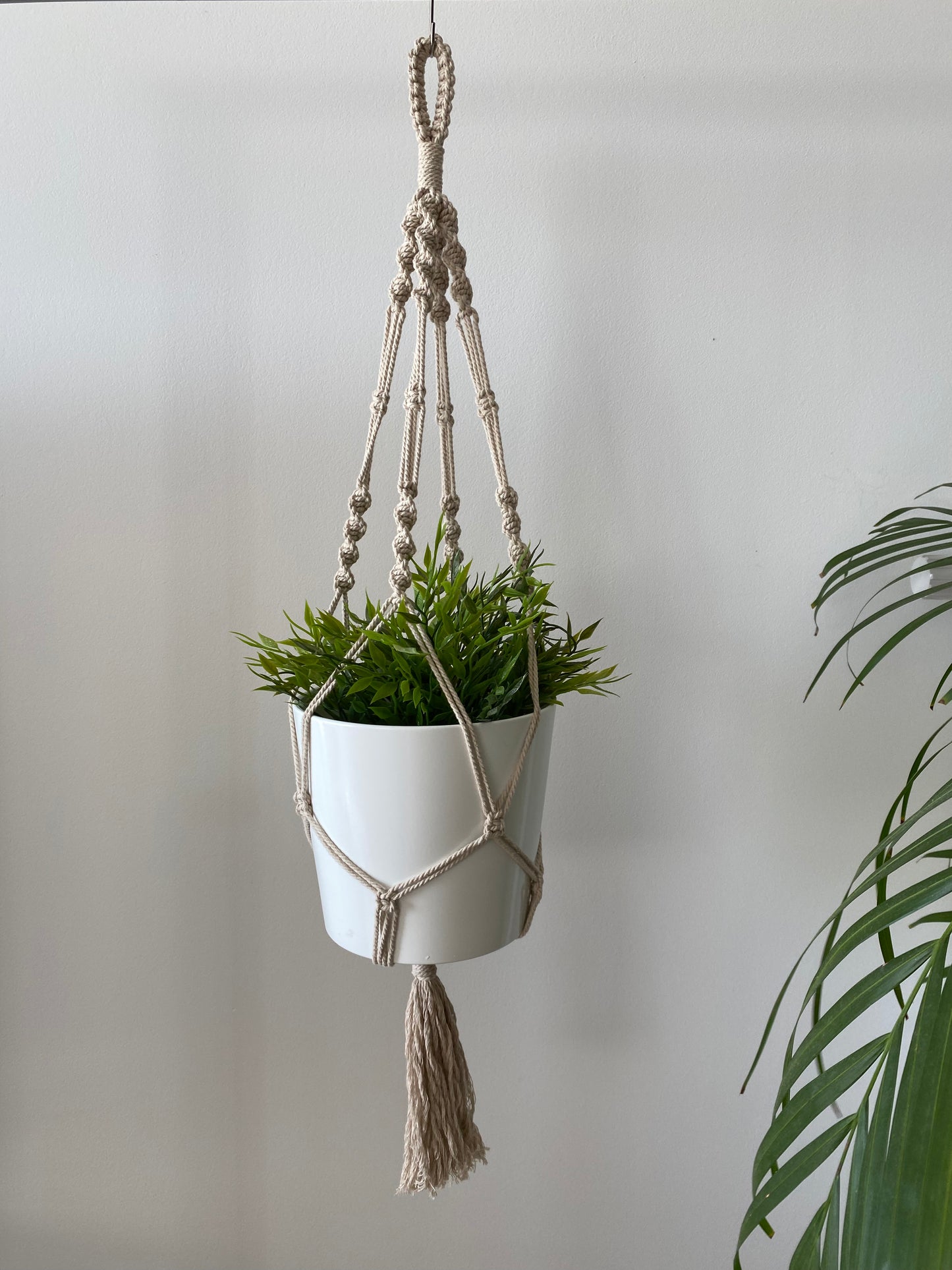 Suspension de plante - Grand simple torsadée