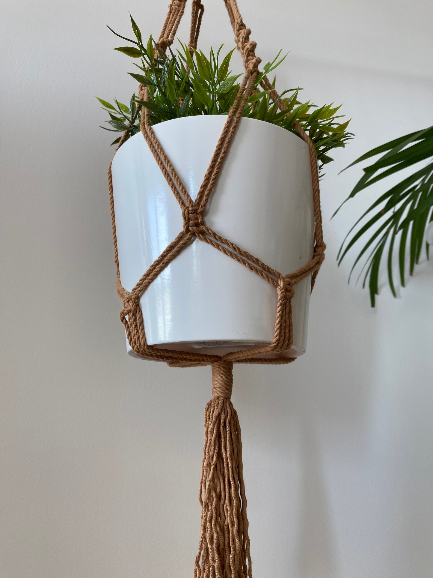 Suspension de plante - Grand simple torsadée